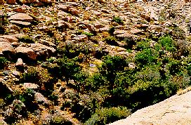 Valle